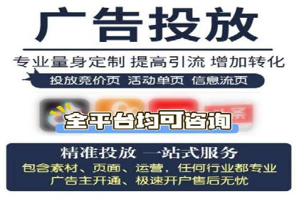 知名SEM运营公司实战案例解析
